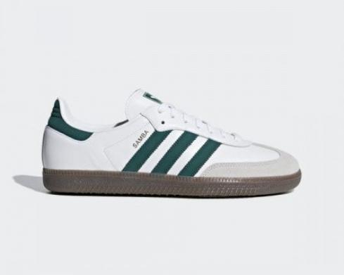 阿迪達斯 Samba OG 鞋類白色學院綠鞋 B75680