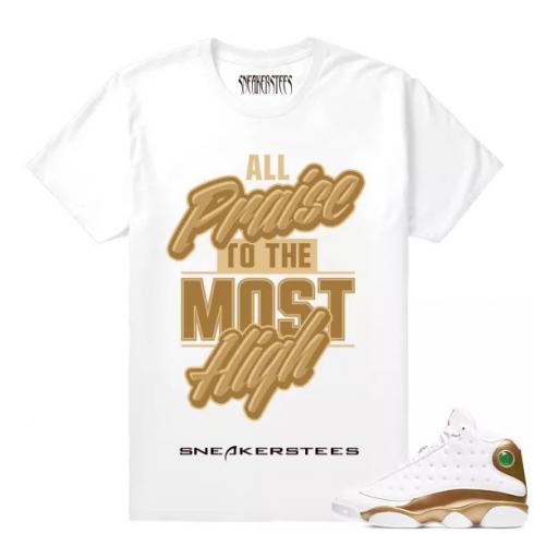 Camiseta Air Jordan 13 DMP All Praise White