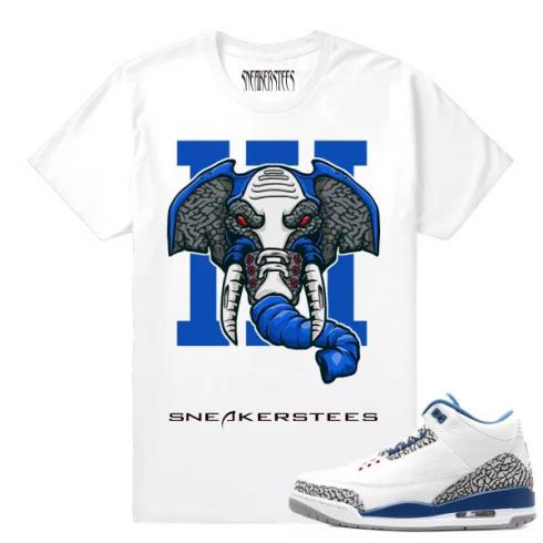 Match Jordan 3 True Blue OG Rare Air Elephant wit T-shirt