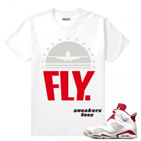 Snekaer t-shirt matcher Air Jordan 6 Alternate webp
