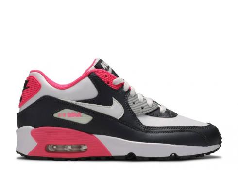 Nike Air Max 90 Ltr Gs Anthracit Hyper Pink White Metallic Silver 833376-003