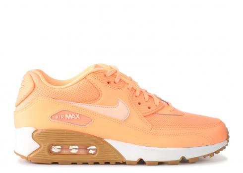 Air Max 90 Tint Sunset Glow 325213-802 voor dames