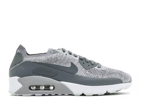 Nike Air Max 90 Ultra 2.0 Flyknit Pure Platinum Gris Loup Blanc Cool 875943-003