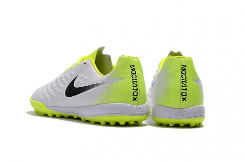 magista orden tf