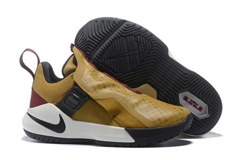 Nike Ambassador LBJ 11 Philippine Brown Black AO2920-508