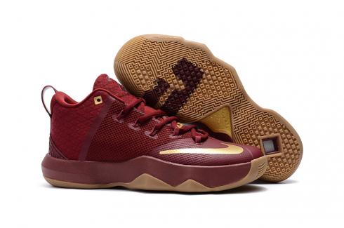 Nike Ambassador IX 9 Lebron Jame Marroon Golden Men Basketball Shoes 852413