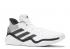 Adidas Harden Stepback Footwear White Core Grey Black Dove EH1942