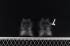 Adidas Supernova 2.0 Triple Black Core Black Shoes GY0411
