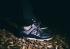 Concepts x New Balance Trailbuster Re-Engineer ブラック ホワイト TBTFCP