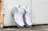 Nike Air Foamposite One Pro Argent Blanc AA3963-100