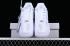 Nike Air Force 1 07 Low White Sliver CW2288-112