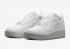 Nike Air Force 1 Low Crater Flyknit Summit Wit Platinum Tint DM0590-100