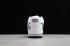 Nike Air Force 1 Low Retro DSM White CD6150-113