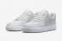 Nike Air Force 1 Low SP Slam Jam Summit Wit Off White DX5590-100