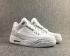 Air Jordan 3 AJ3 Retro All White Burst Męskie buty do koszykówki 318376-110