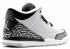 Nike Air Jordan 3 III Retro PS Niños pequeños Wolf Grey 429487-004