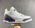 Nike Air Jordan 3 Retro High Top Blanc Violet Gris Jaune Chaussures de basket-ball pour hommes 580775-010