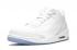 Nike Air Jordan 3 Retro Pure Money Vit Silver 136064-103