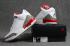 Nike Air Jordan 3 Katrina Hall of Fame Retro Wit Cement Vuurrood 136064-116