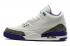 Мужские баскетбольные кроссовки Nike Air Jordan III 3 Retro White Jade Purple Black 136064-114