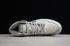Dior x Nike Air Jordan 1 High Wolf Grey Sail Phonton Dust White AJ1 נעלי כדורסל CN8607-002
