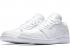 Giày bóng rổ nam Air Jordan 1 Retro Low Pure Platinum White 553558-109