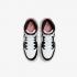 Air Jordan 1 Midgs DQ8423-100