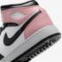 Air Jordan 1 Midgs DQ8423-100