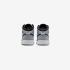 Air Jordan 1 Midgs DQ8423-101