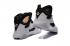 Nike Air Jordan 7 VII Champagne CC Celebration Pack 725093 140
