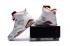 ανδρικά παπούτσια Nike Air Jordan Retro 6 VI ALTERNATE White Platinum Red 384664-113