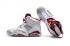 Nike Air Jordan Retro 6 VI ALTERNATE Hare Bianco Platino Rosso Uomo Scarpe 384664-113