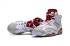 Nike Air Jordan Retro 6 VI ALTERNATE Hare White Platinum Red férfi cipőt 384664-113