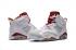 Nike Air Jordan Retro 6 VI ALTERNATE Hare Blanc Platine Rouge Hommes Chaussures 384664-113