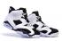 Nike Air Jordan VI 6 Retro CZARNY BIAŁY OREO COOL GREY 384664 101 NOWE