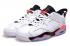 męskie buty do koszykówki Nike Air Jordan 6 VI Low Infrared 304401 123