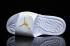 Nike Jordan Hydro 6 jointly signed platinum men Sandal Slides Slippers 820257-135