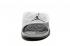 Nike Air Jordan Hydro 5 Metallic Argento Bianco Grigio Scarpe da uomo 820257-100