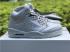 รองเท้าบาสเก็ตบอล Nike Air Jordan V 5 Retro Pure Platinum White 881432-003