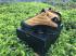 Nike Air Jordan XIII 13 Low Retro Chutney Jaune Noir Chaussures Homme 310810-022