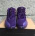 Nike Air Jordan XII 12 Retro Violet laine Hommes Femmes Chaussures de basket-ball