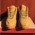 Nike Air Jordan XII 12 Wszystkie żółte męskie buty do koszykówki