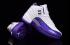 Nike Air Jordan XII 12 Retro Białe Srebrne Fioletowe Winogrona Damskie Buty 510815 112
