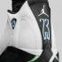 Air Jordan 14 - Oxydized Green White Black Legend Blue Metallic Silver 487471-106