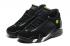 Sepatu Pria Nike Air Jordan 14 Retro XIV Black Mint Green Toe 487471