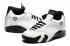 Мужские туфли Nike Air Jordan 14 Retro XIV White Jade Black Toe 487471