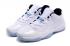 Мужские туфли Nike Air Jordan 11 XI Retro Low Legend Blue Columbia 528895
