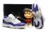 Мужские туфли Nike Air Jordan Retro 11 XI Low Black White Purple 528895-108