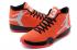 Мужские туфли Nike Air Jordan 29 XX9 Infrared 23 White Black Supreme OG 695515-623