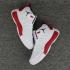 Buty Do Koszykówki Nike Jordan Jumpman Pro Męskie Białe Czarne Czerwone Nowe 906876